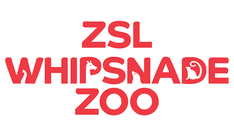 zsl-whipsnade-zoo-energy